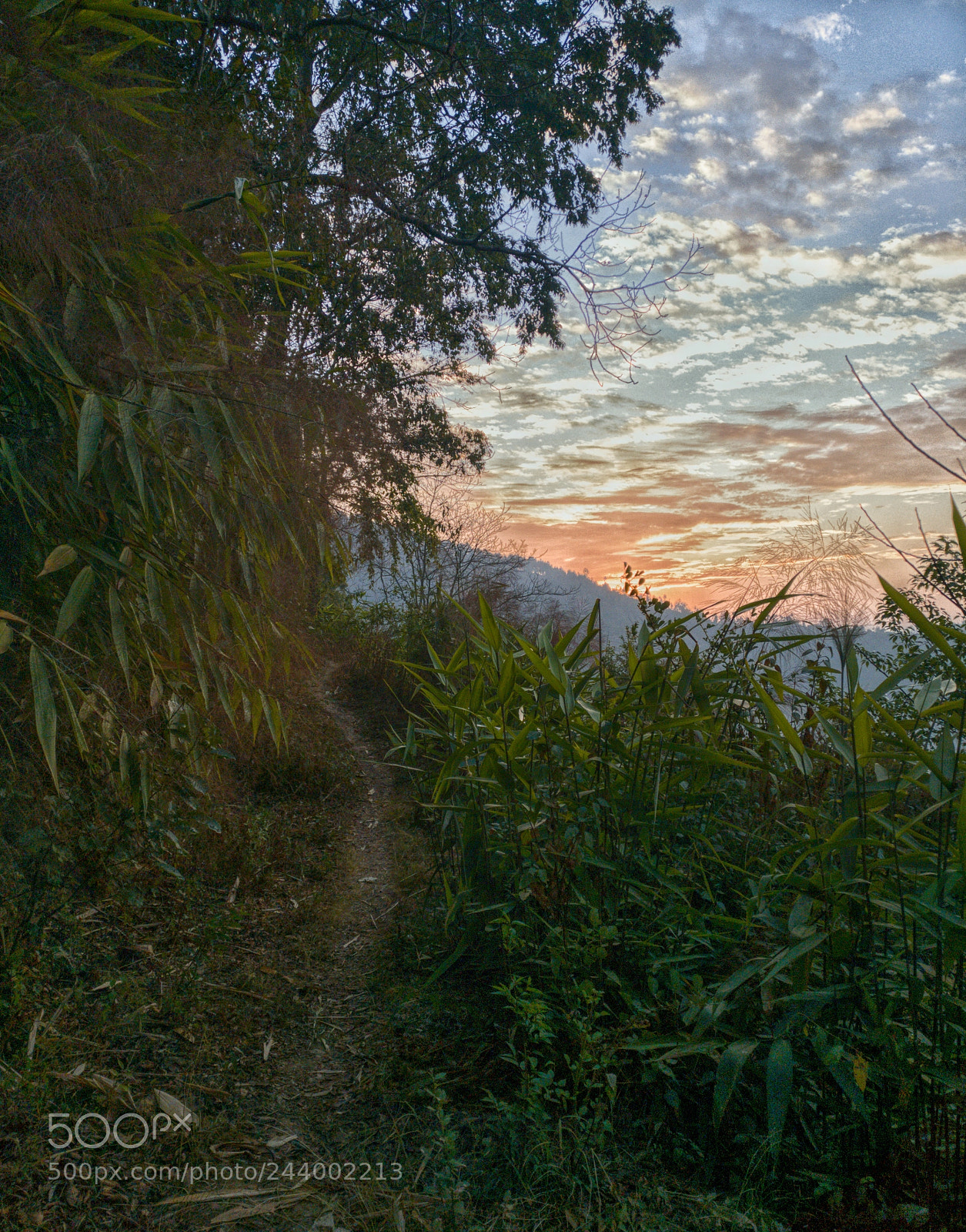 OnePlus A3003 sample photo. Path to the skies photography