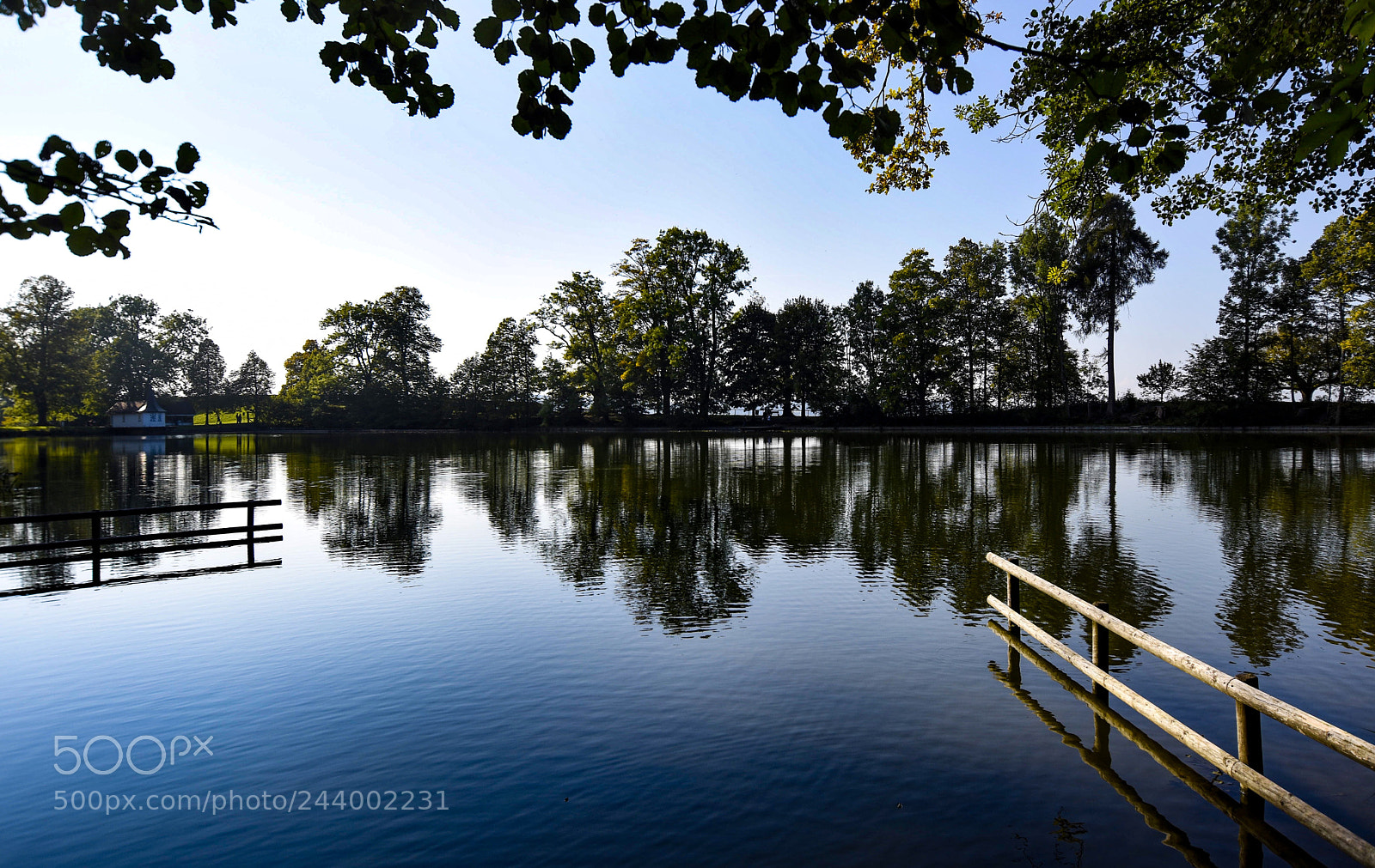 Nikon D7200 sample photo. Evening mood in dreilinden photography
