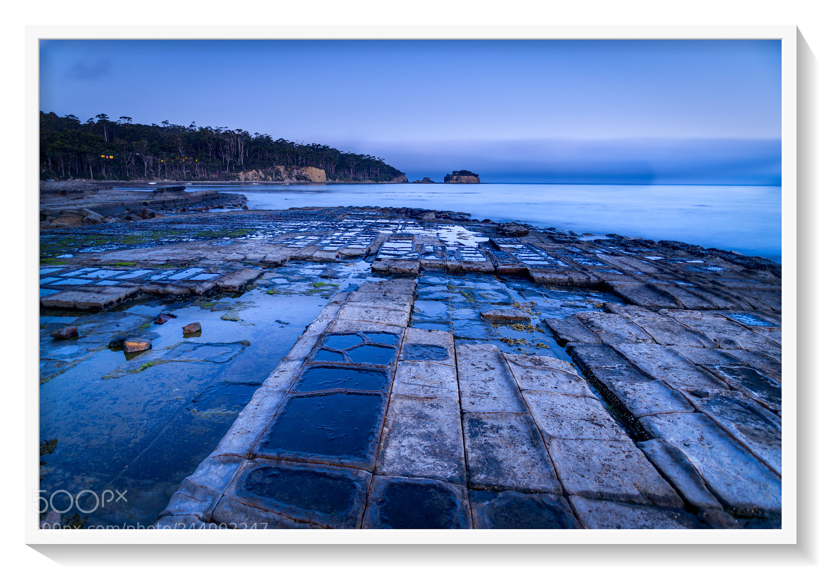 Nikon D810 sample photo. Tessellated pavement photography