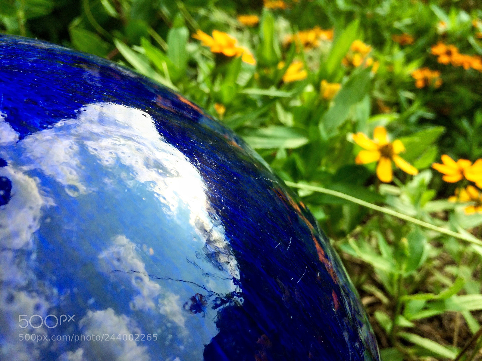 Apple iPhone 5s sample photo. Ygb photography