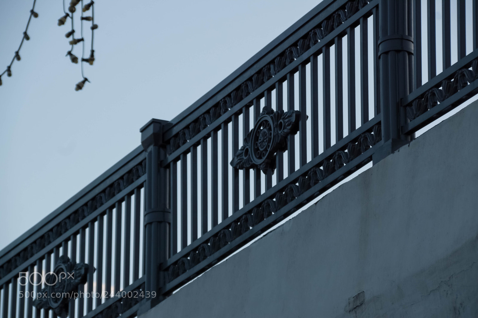 Nikon D5500 sample photo. Nik photography