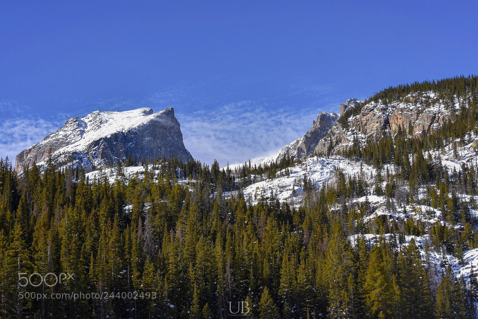 Nikon D3400 sample photo. Peak and trees photography