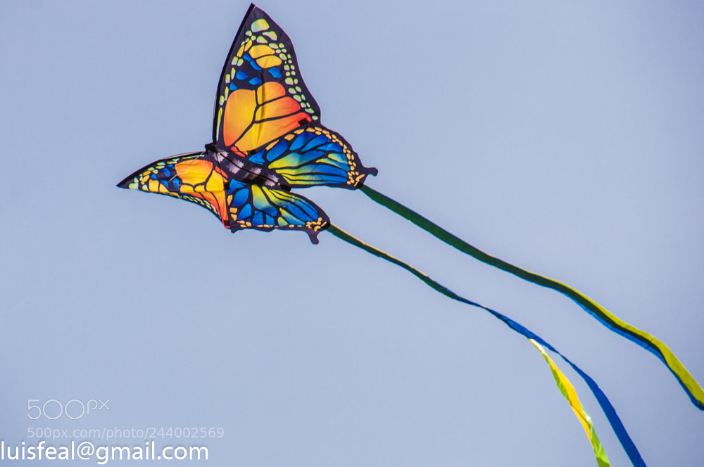Nikon D90 sample photo. Untitled photography