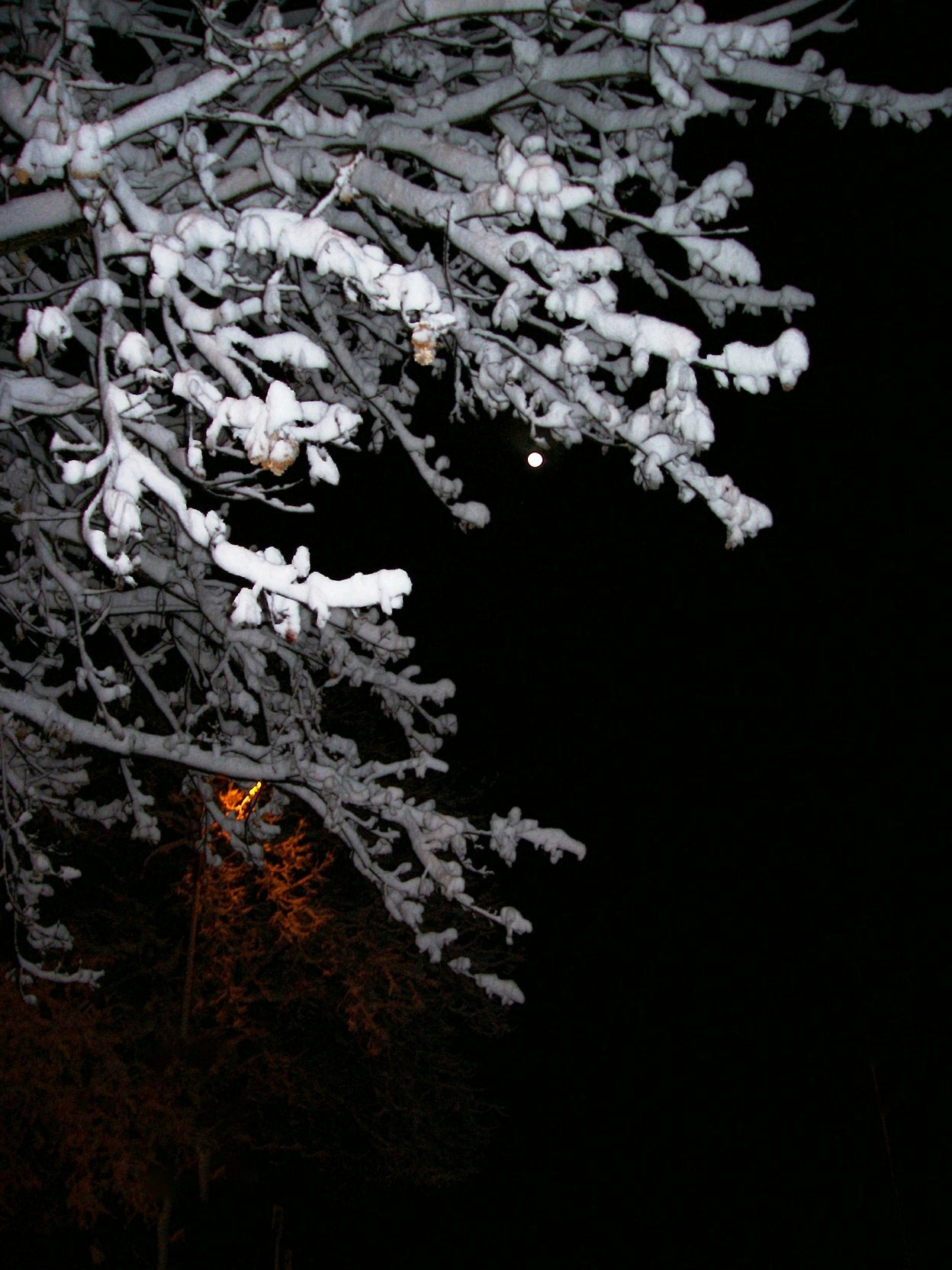 Kodak C330 ZOOM DIGITAL CAMERA sample photo. Notte photography
