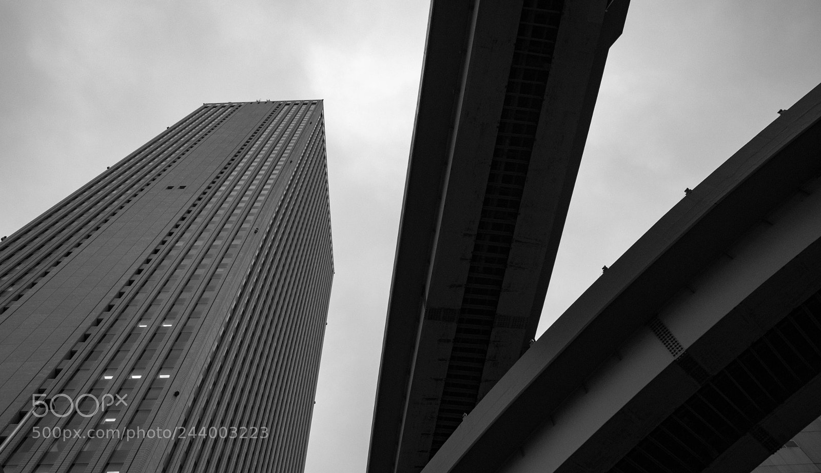 Nikon D3200 sample photo. Vigilance photography