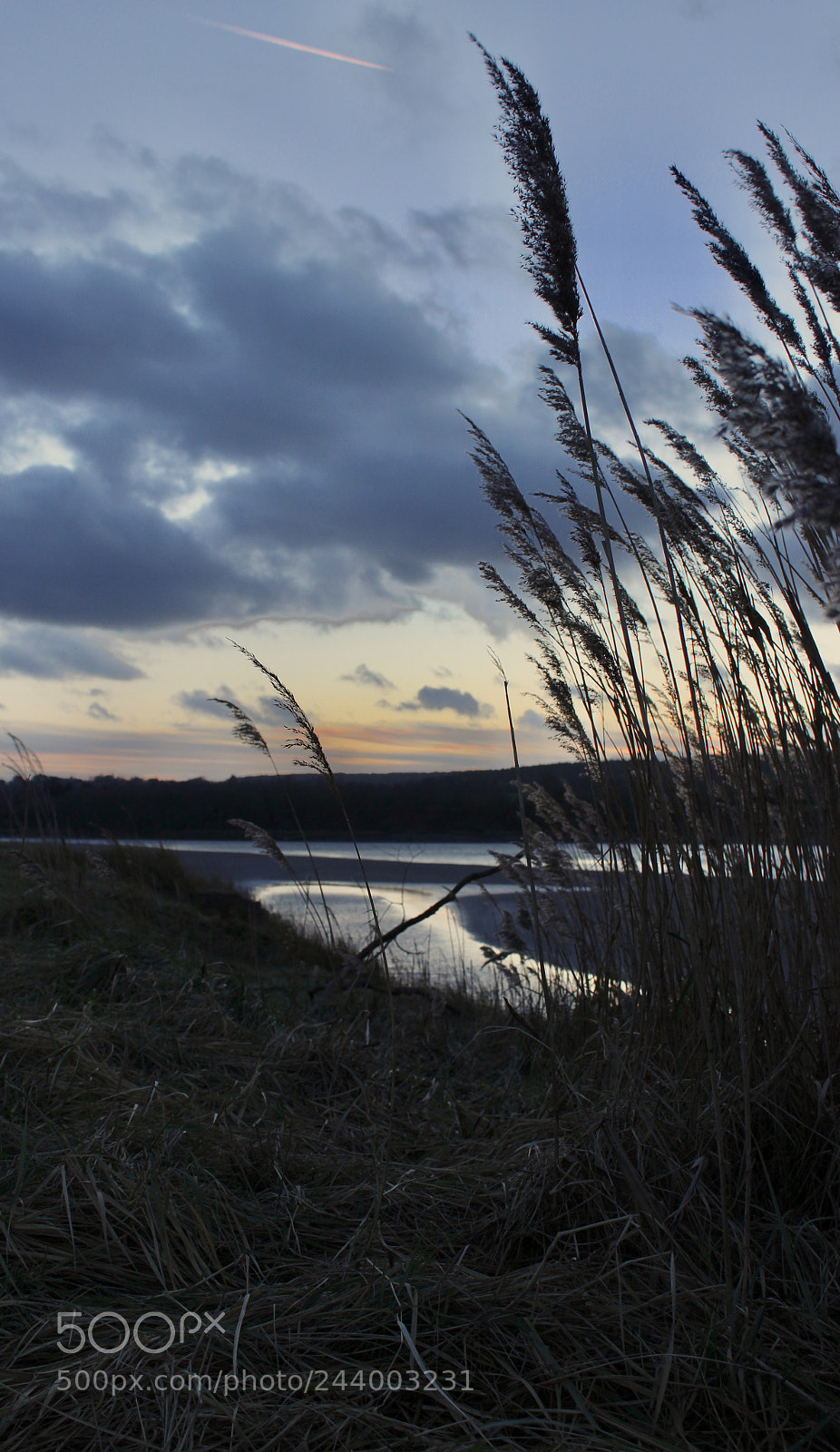 Canon EOS 1300D (EOS Rebel T6 / EOS Kiss X80) sample photo. ~before dusk~ photography