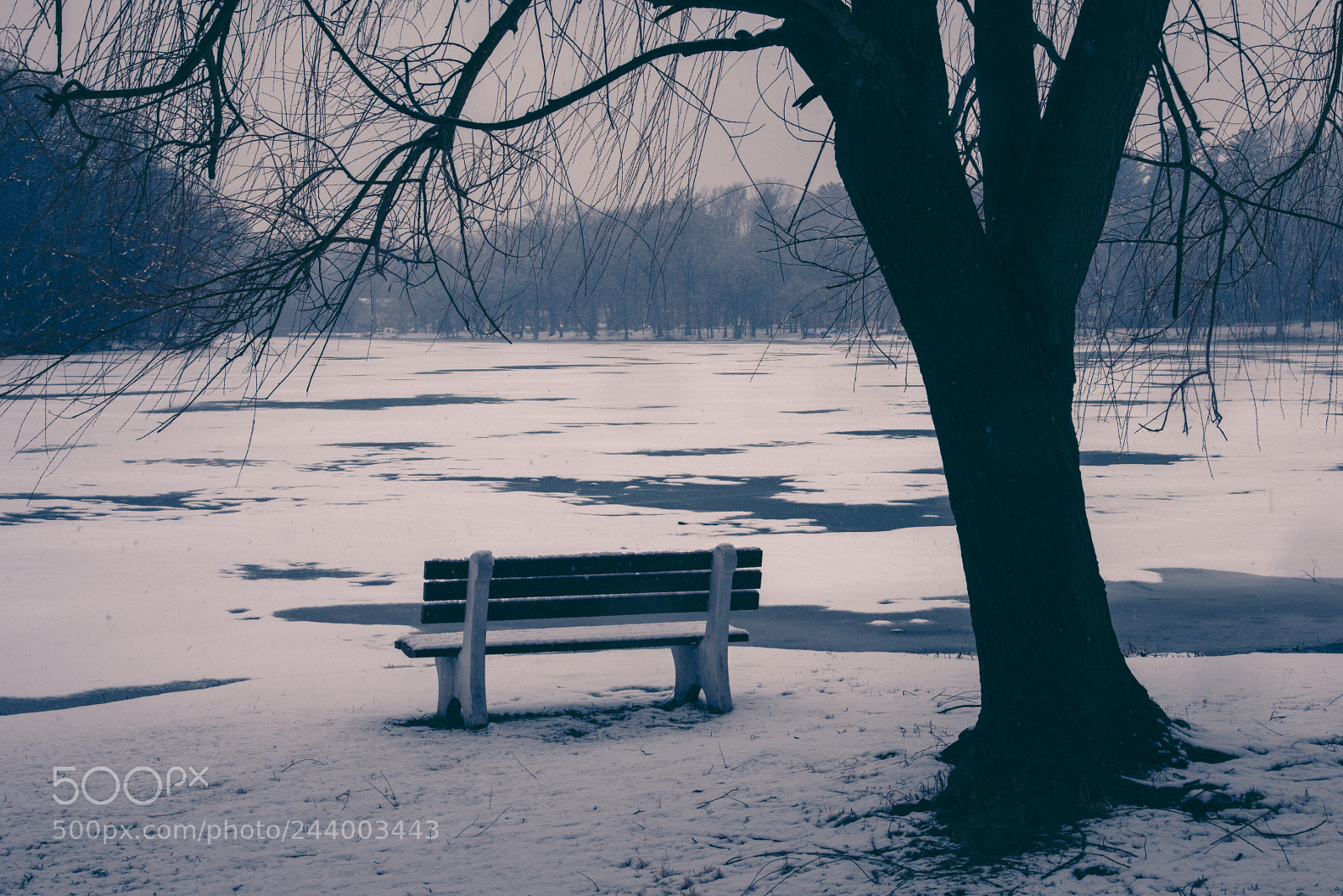 Nikon D810 sample photo. Frozen lake photography