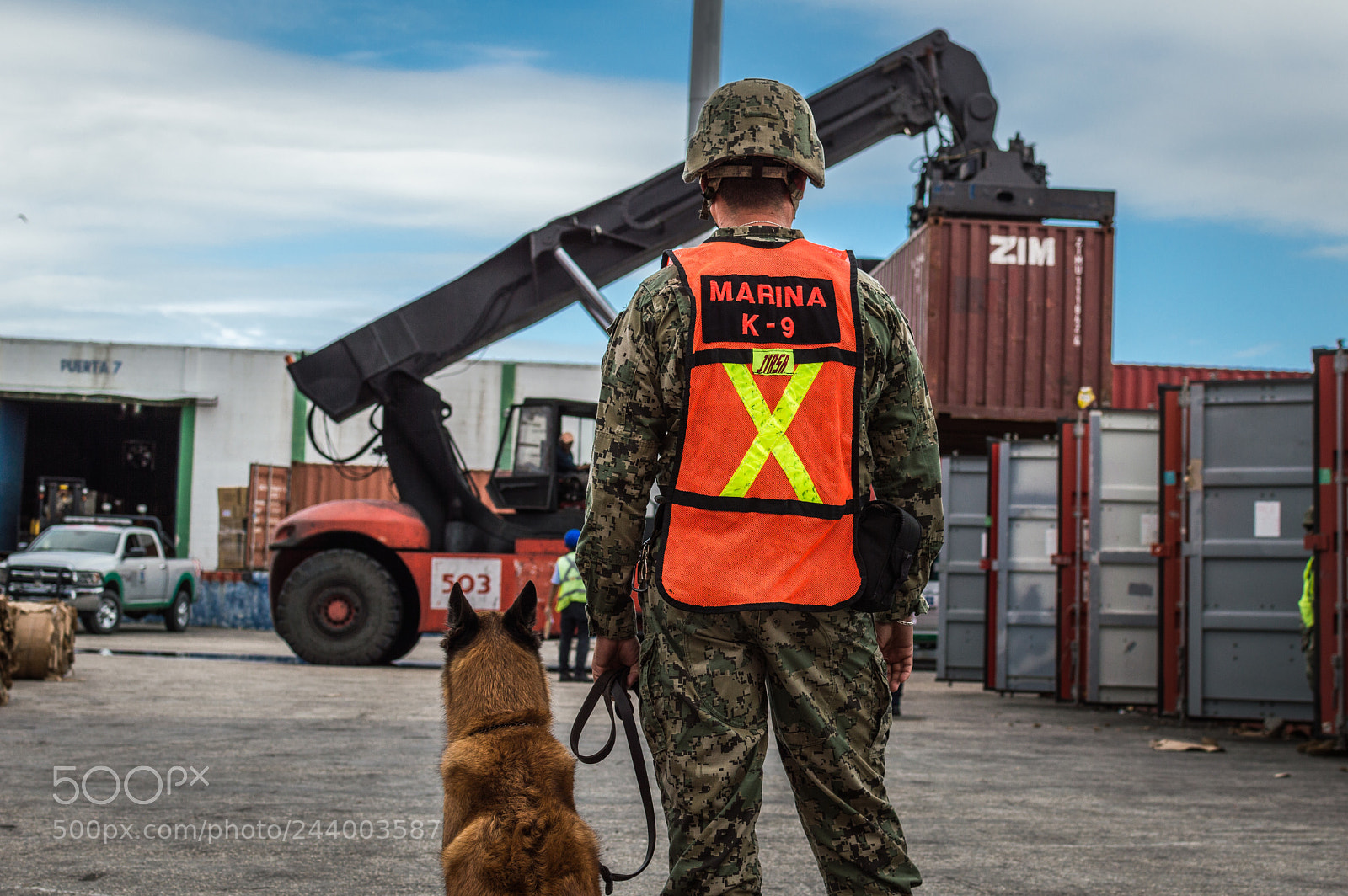 Nikon D3200 sample photo. Seaport k9 (i) photography