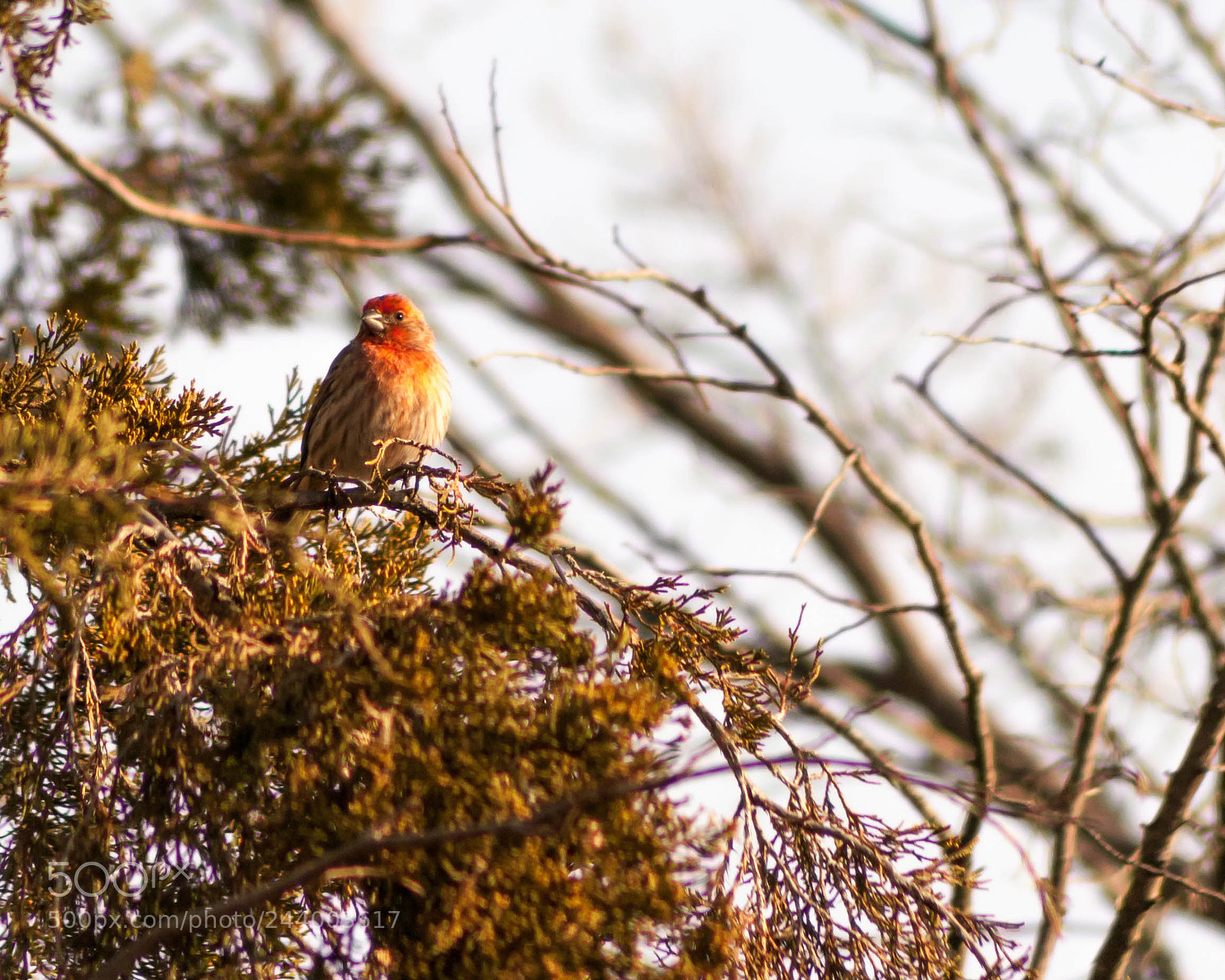 Nikon D300 sample photo. Nature photography