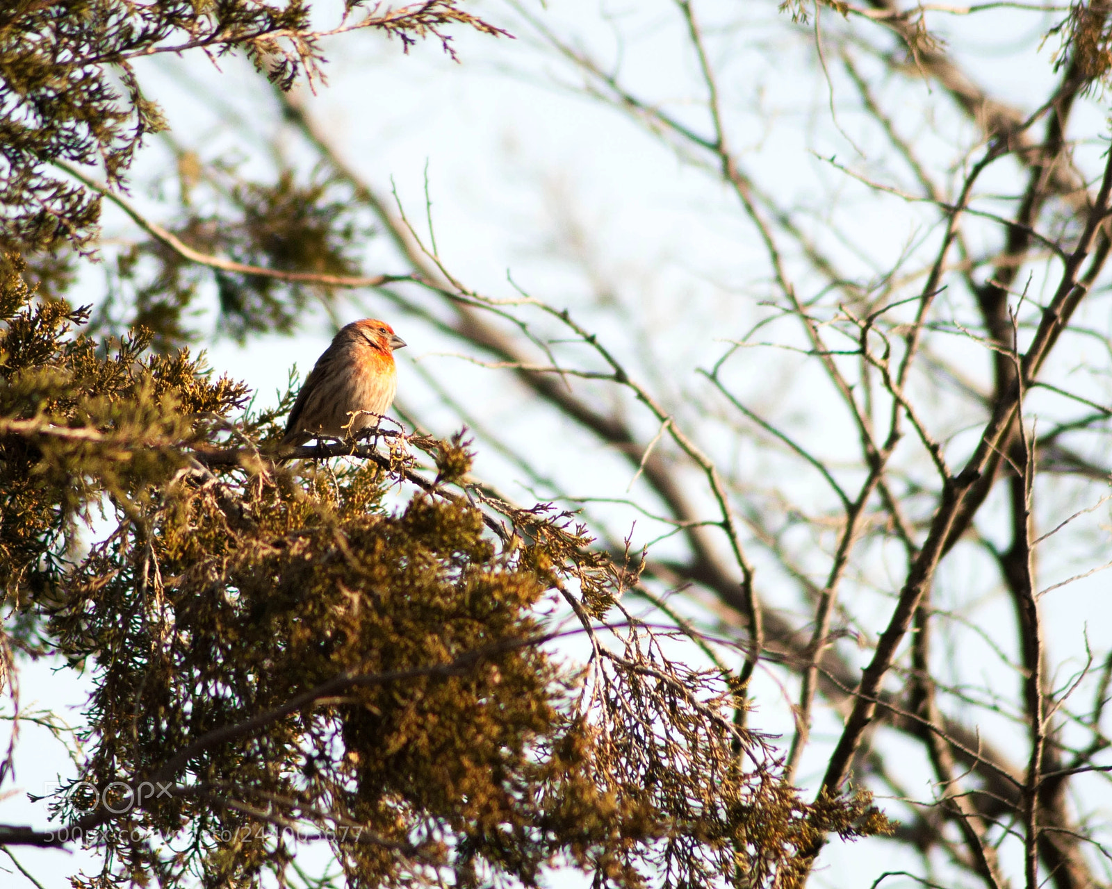 Nikon D300 sample photo. Nature 1 photography