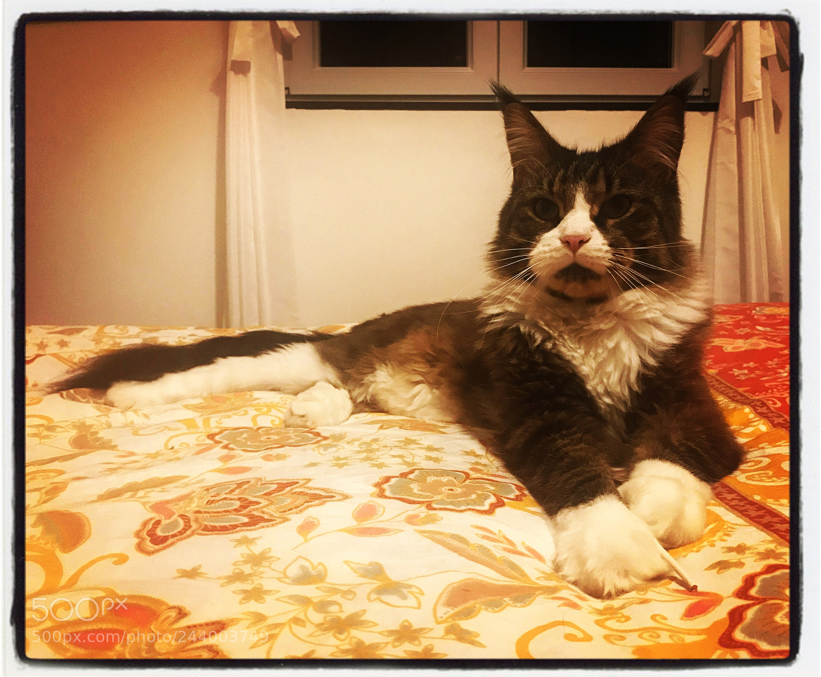 Apple iPhone 7 sample photo. Hollycoon warrior eowin photography