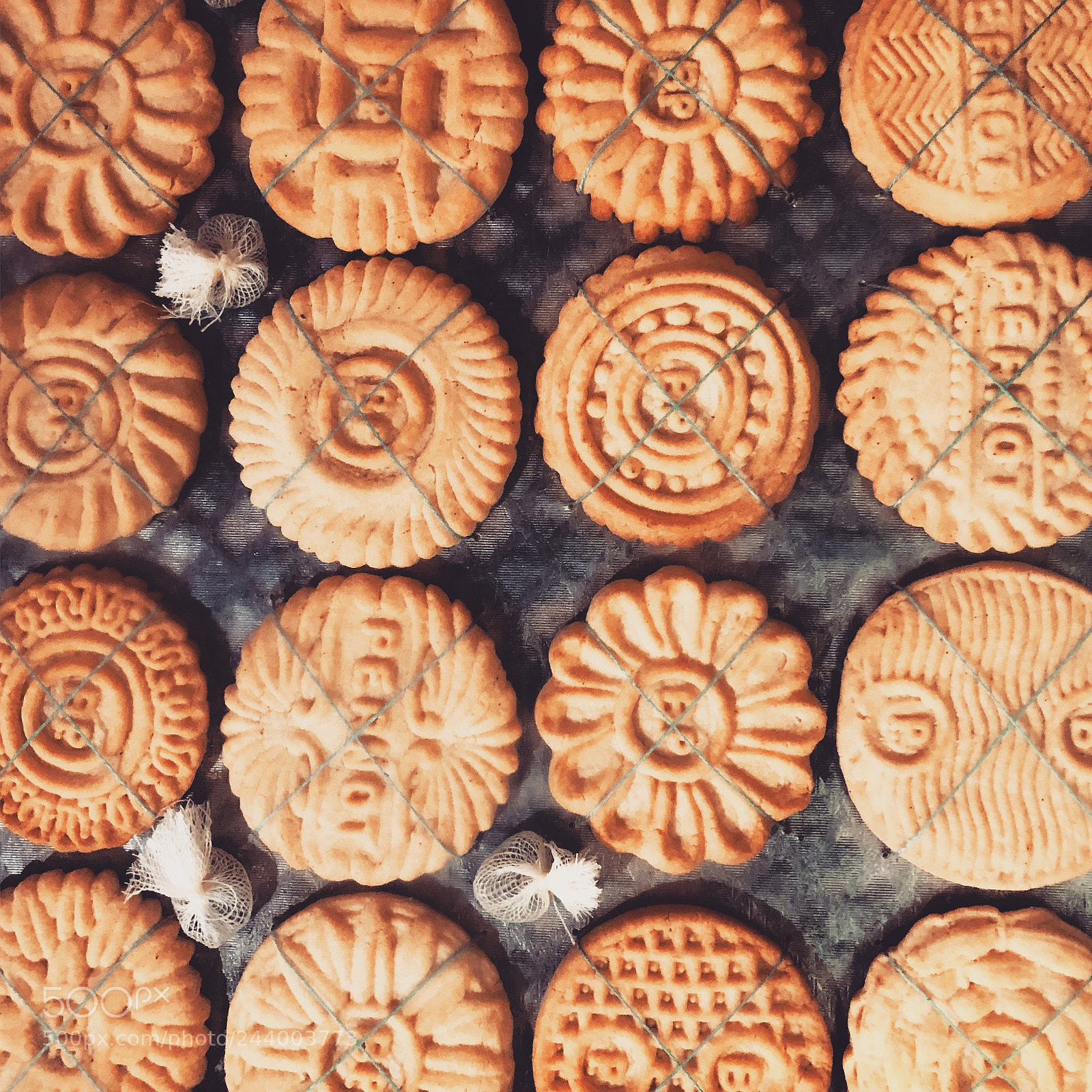 Apple iPhone 8 sample photo. Biscuit photography