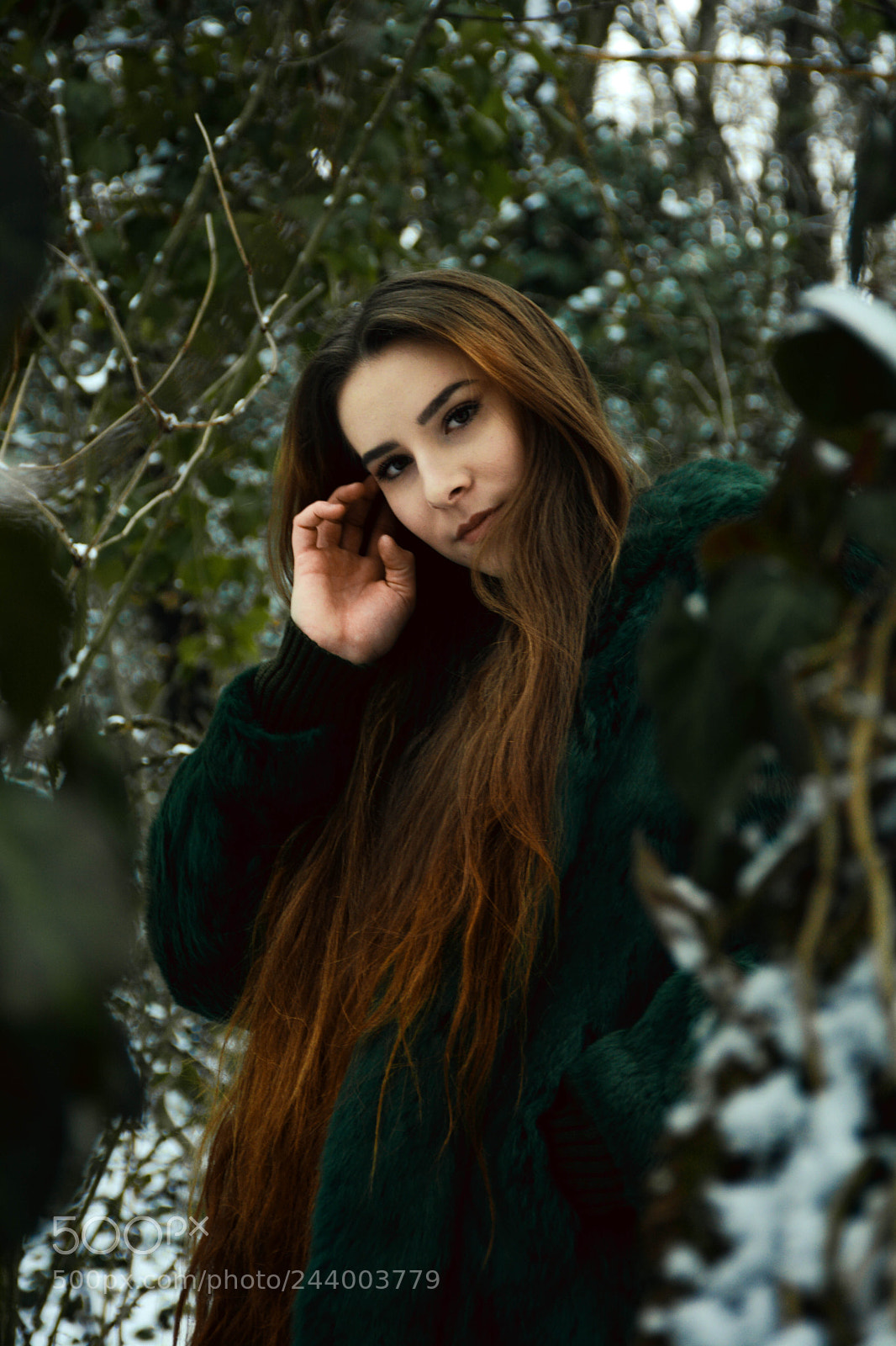 Nikon D7100 sample photo. Untitled photography