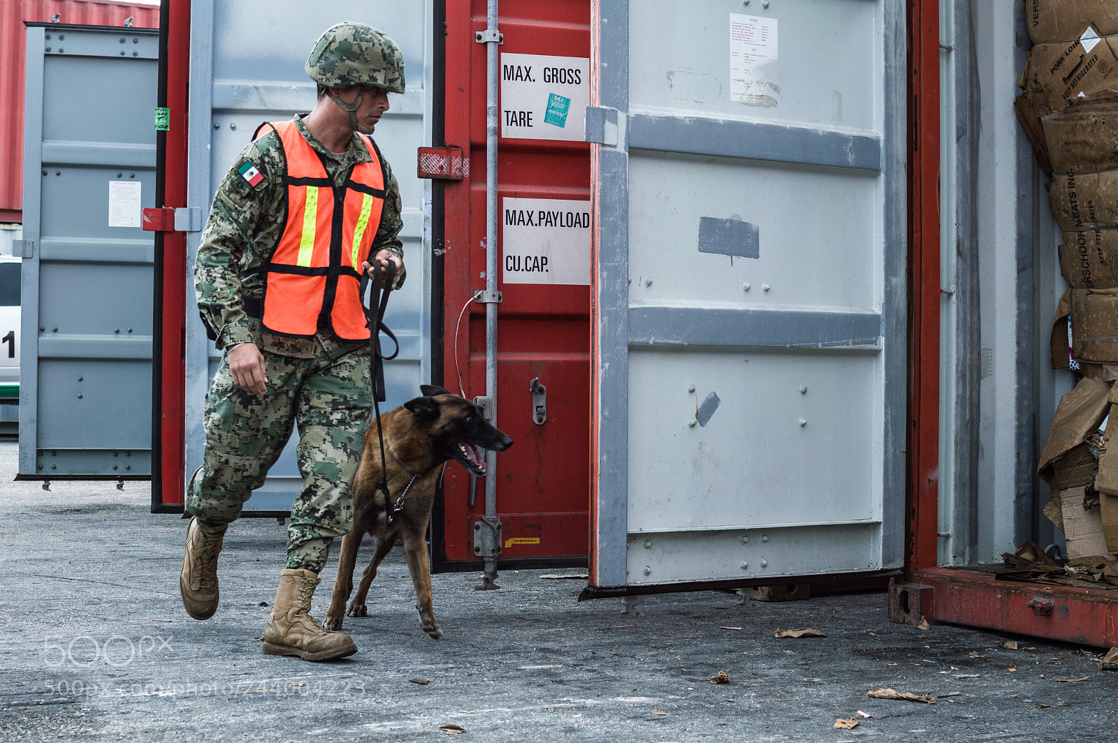 Nikon D3200 sample photo. Seaport k9 (ii) photography