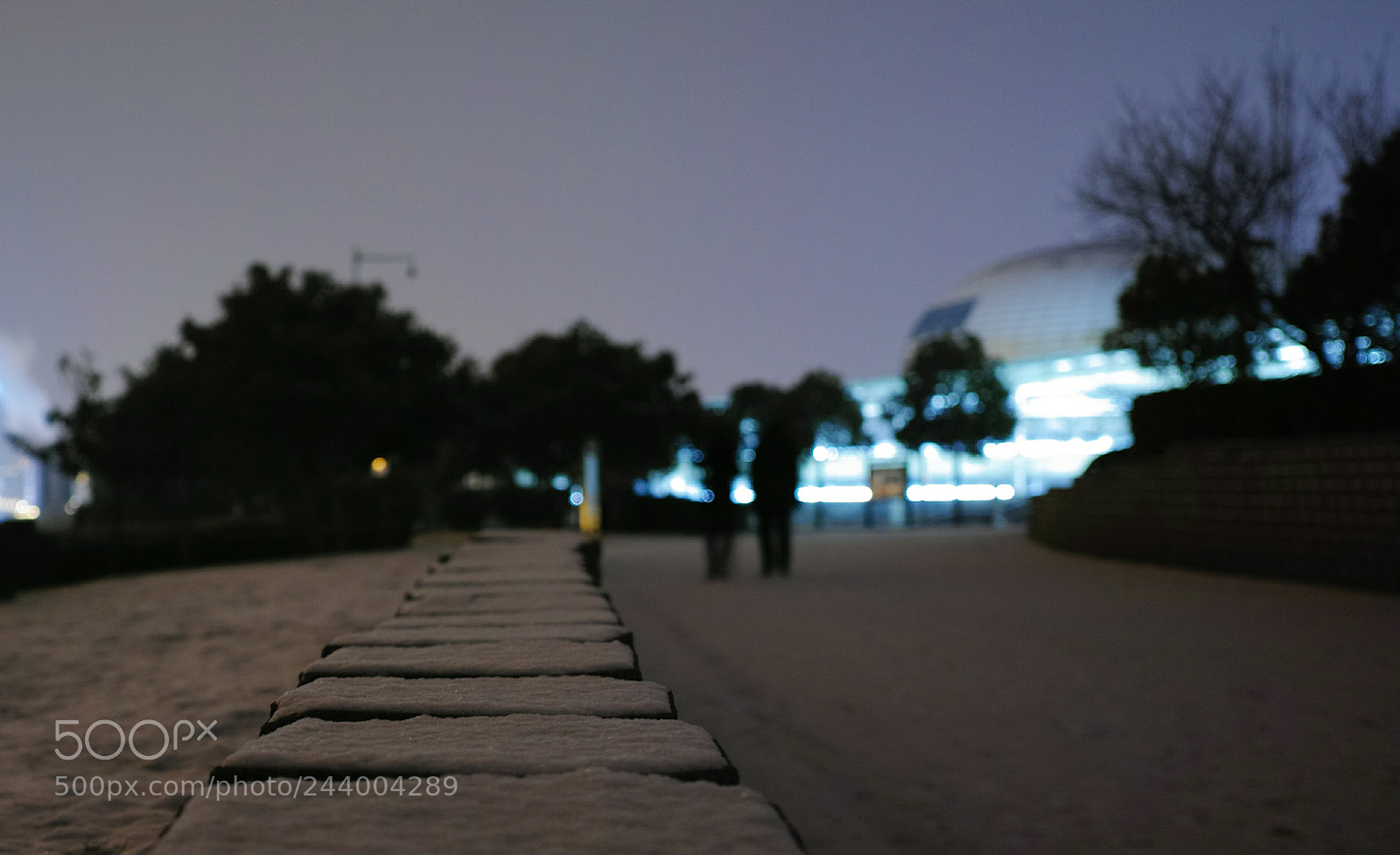 Sigma dp2 Quattro sample photo. Untitled photography
