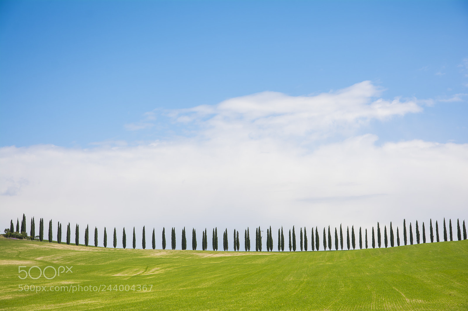 Nikon D7100 sample photo. Tuscany landscape photography
