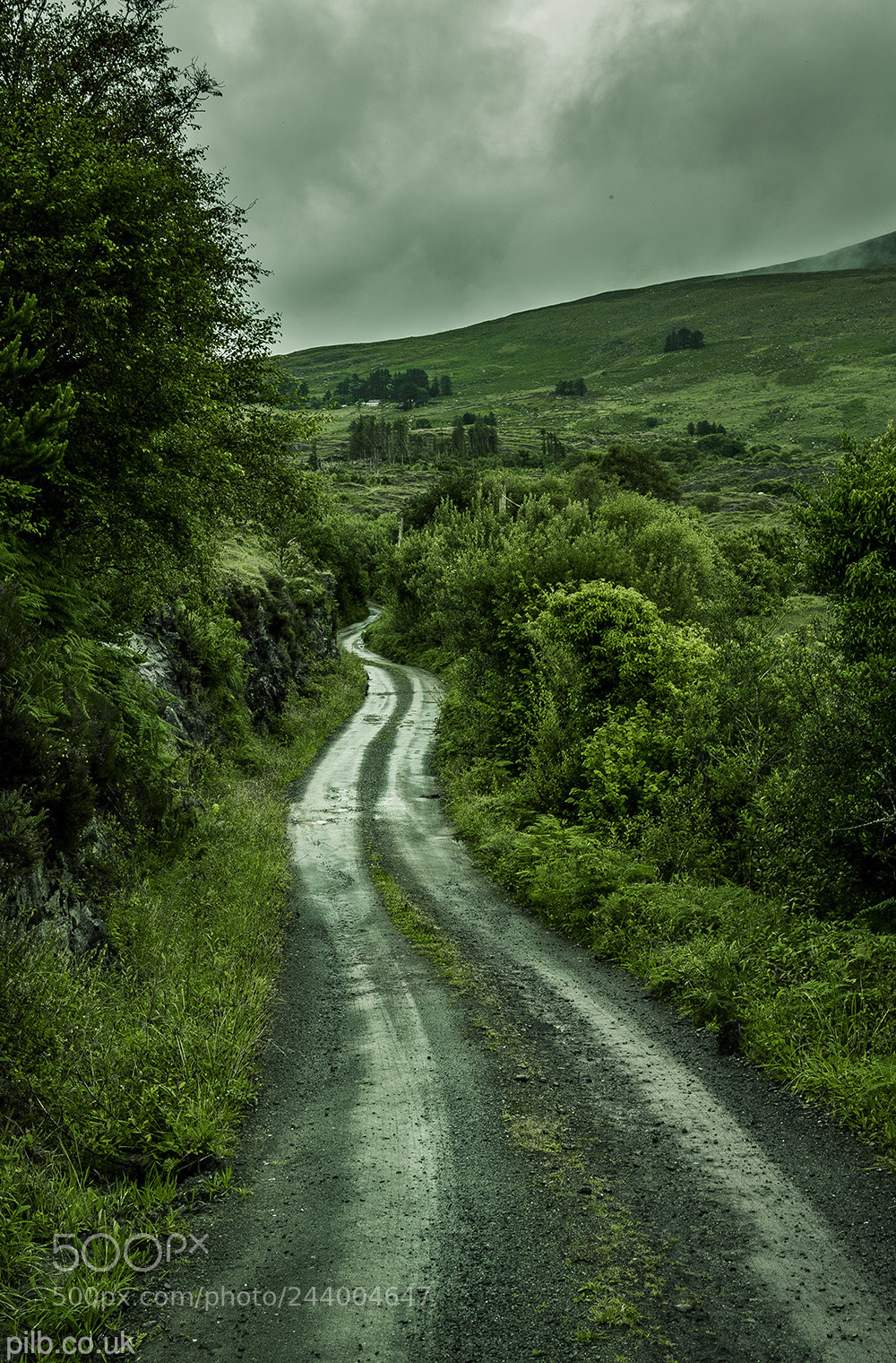 Nikon D610 sample photo. Winding photography