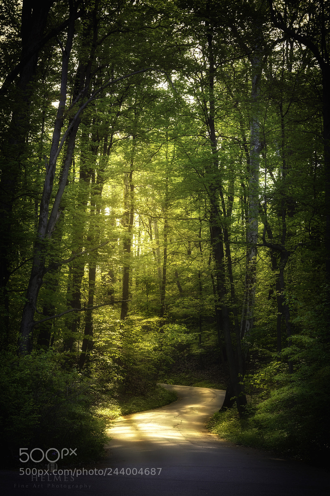 Canon EOS 60D sample photo. Morning light photography