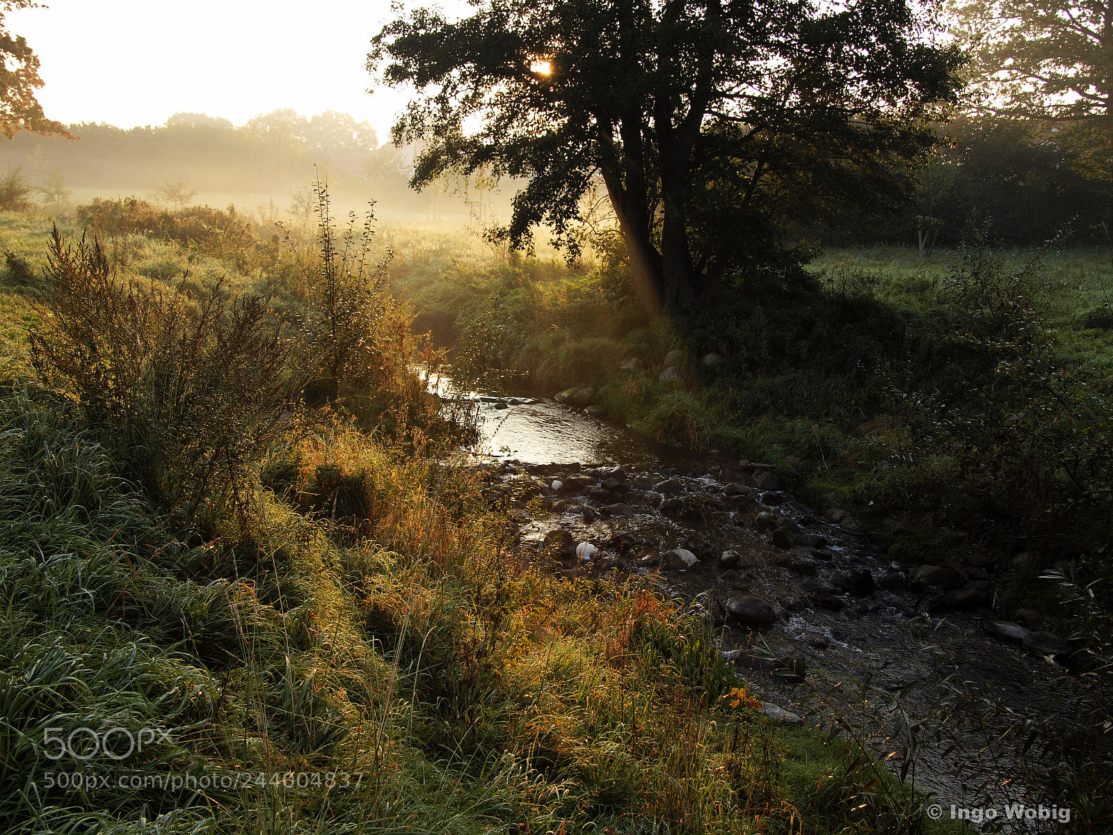 Olympus E-620 (EVOLT E-620) sample photo. Little creek in autumn photography