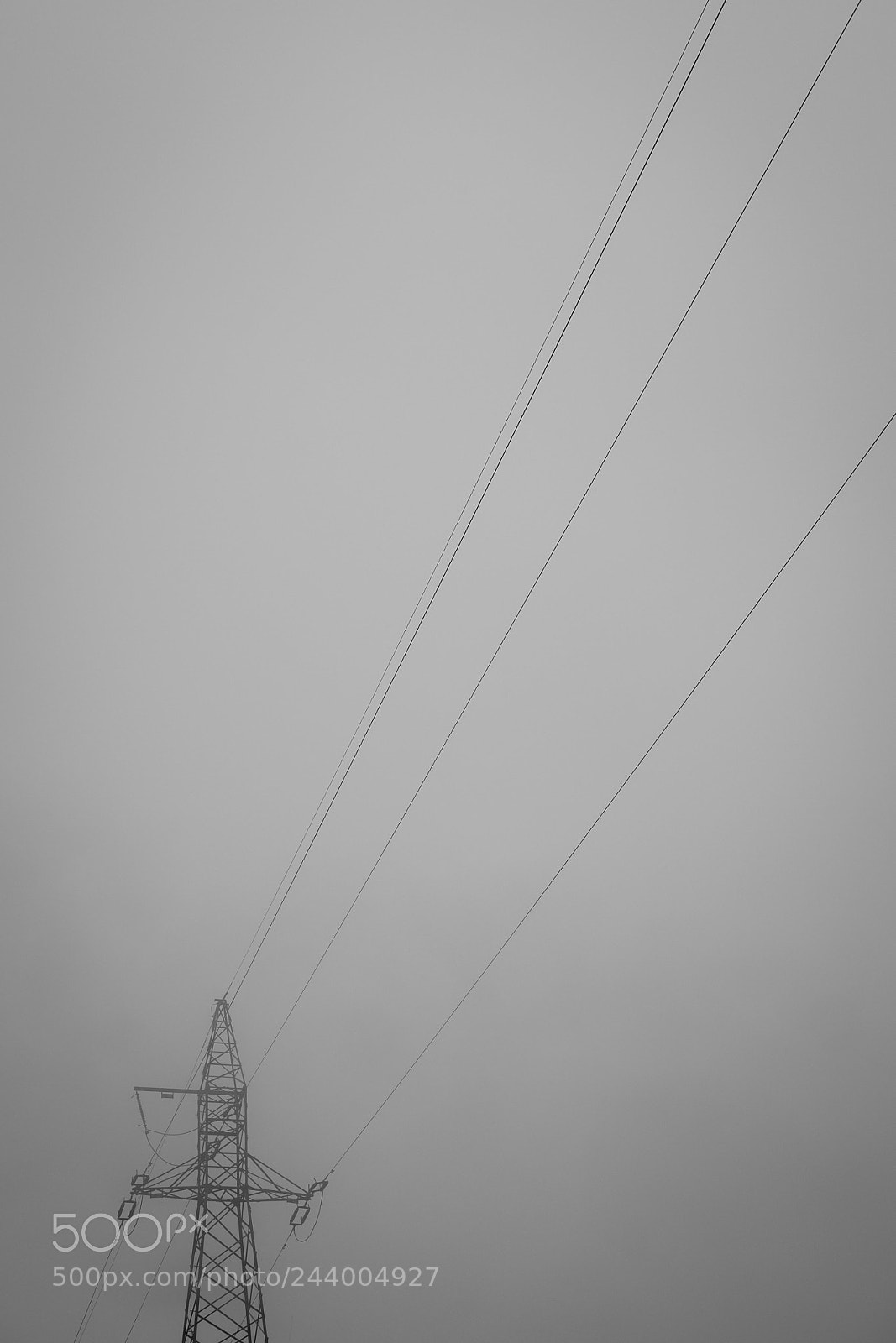Fujifilm X-T1 sample photo. Untitled photography