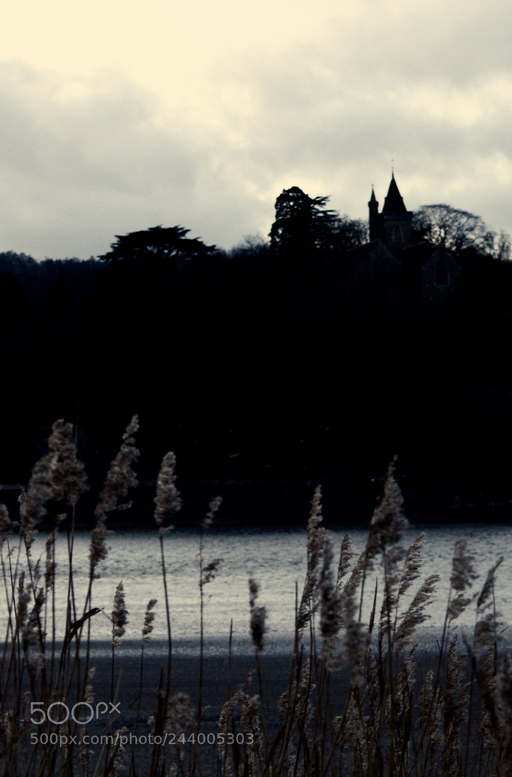 Canon EOS 1300D (EOS Rebel T6 / EOS Kiss X80) sample photo. ~river severn~ photography
