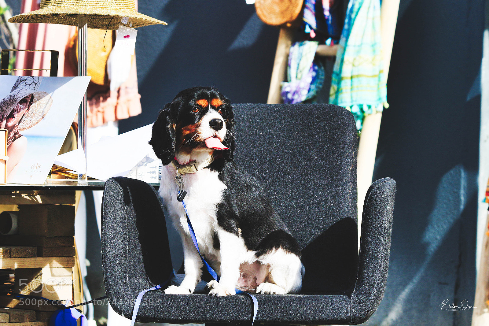 Canon EOS 7D Mark II sample photo. Shopkeeper photography