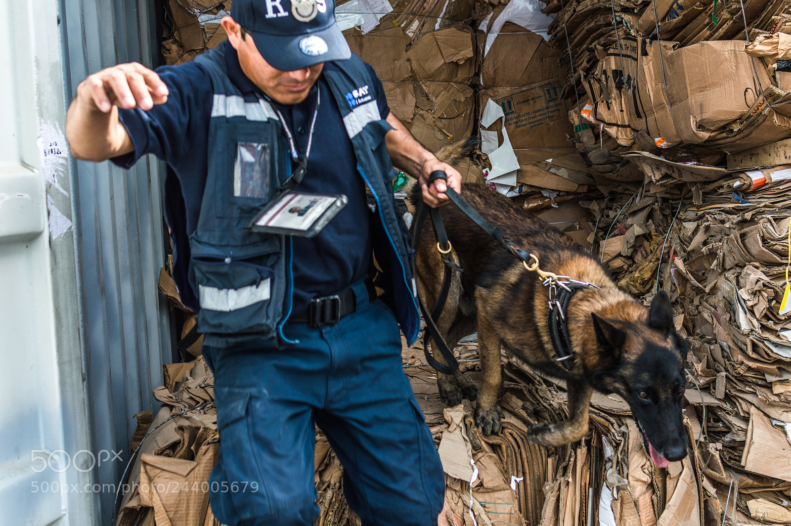 Nikon D3200 sample photo. Seaport k9 (iii) photography