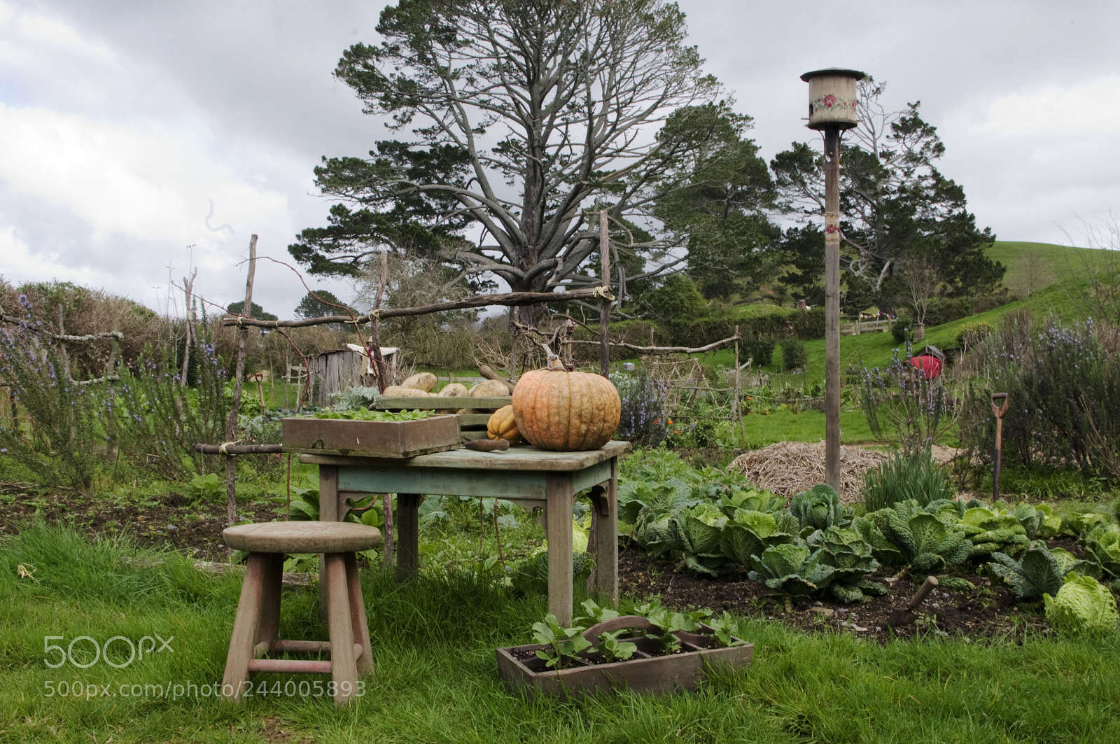 Pentax K-r sample photo. Hobbiton movie set photography