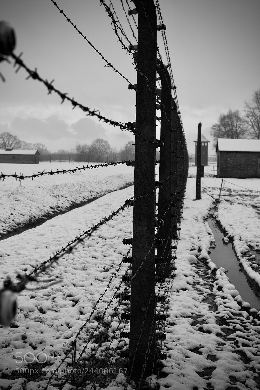 Canon EOS 60D sample photo. Behind the wire. photography