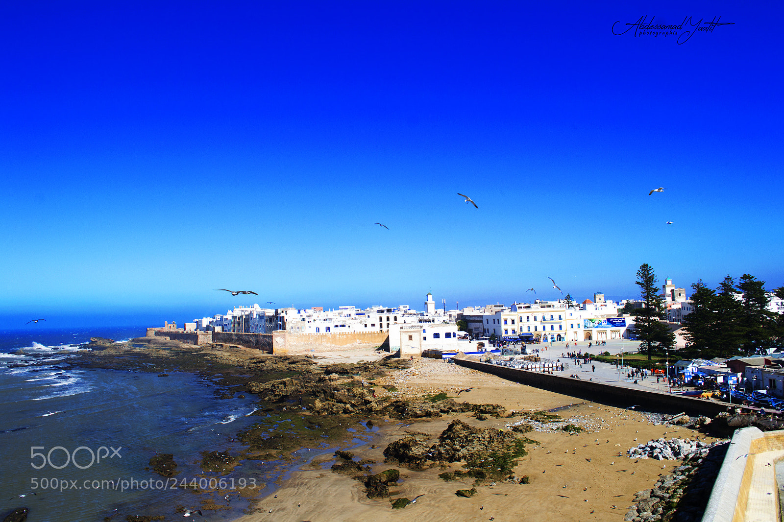 Nikon D3100 sample photo. Essaouira mogador photography