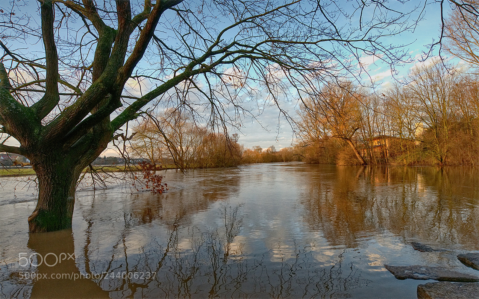 Nikon D800 sample photo. Under water photography