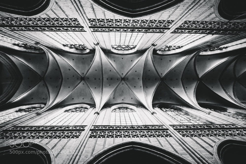 Fujifilm X-T10 sample photo. Antwerpen | ceiling cathedral photography