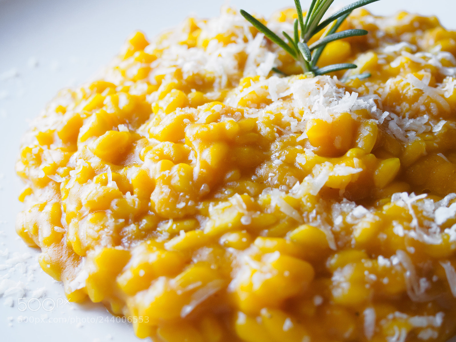 Olympus OM-D E-M10 sample photo. Pumpkin risotto photography