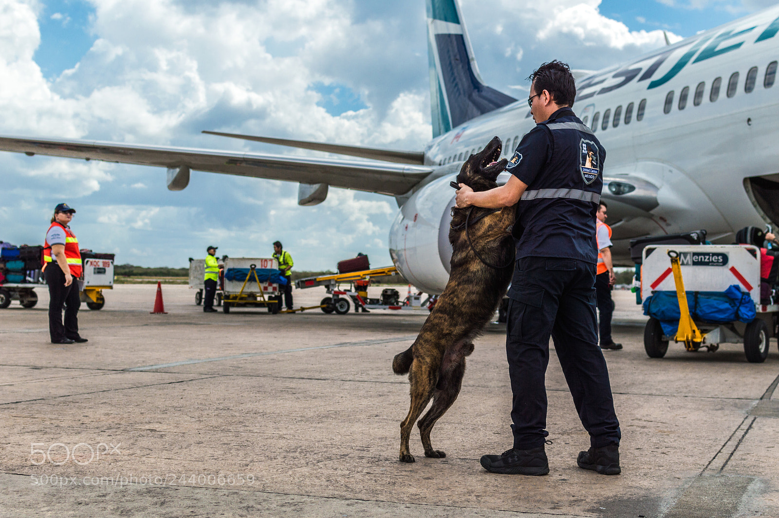 Nikon D3200 sample photo. Airport k9 photography