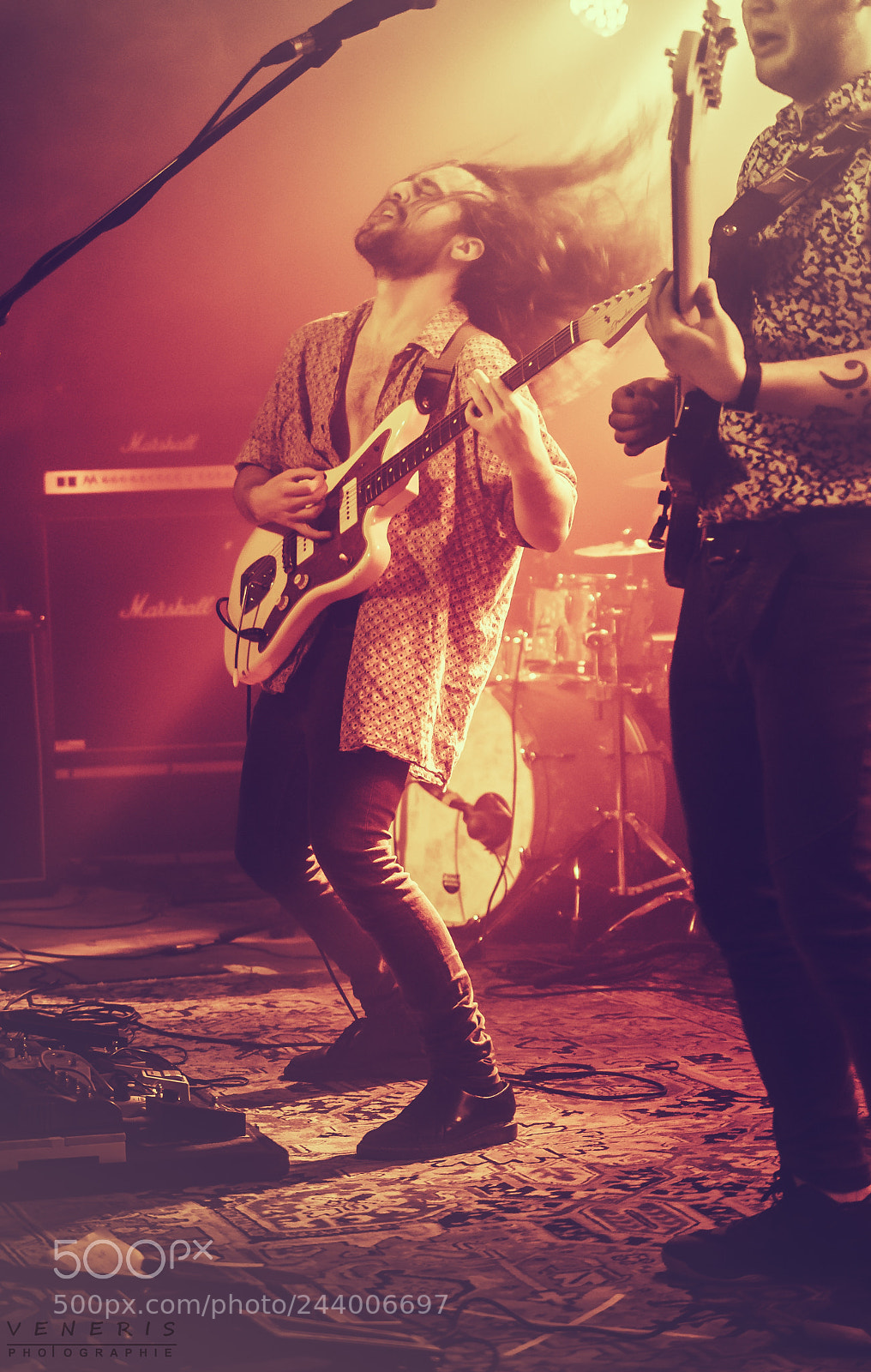 Nikon D500 sample photo. The howling muffs lukas photography