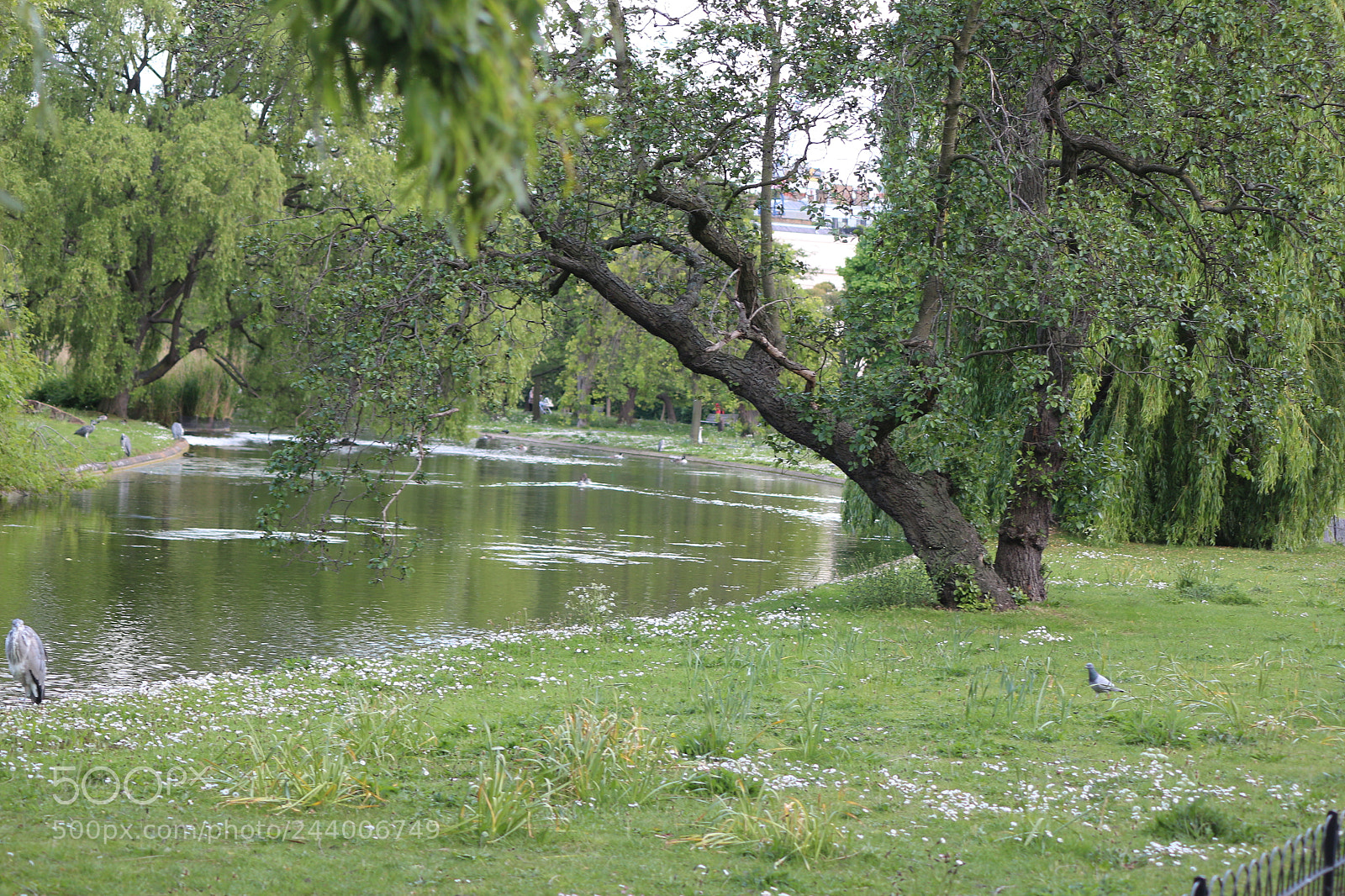 Canon EOS 650D (EOS Rebel T4i / EOS Kiss X6i) sample photo. Img photography