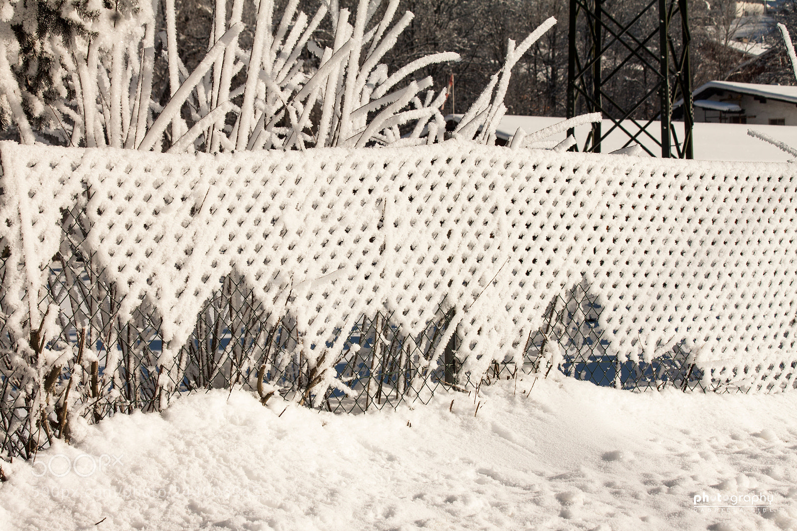 Canon EOS 500D (EOS Rebel T1i / EOS Kiss X3) sample photo. Snowfence photography
