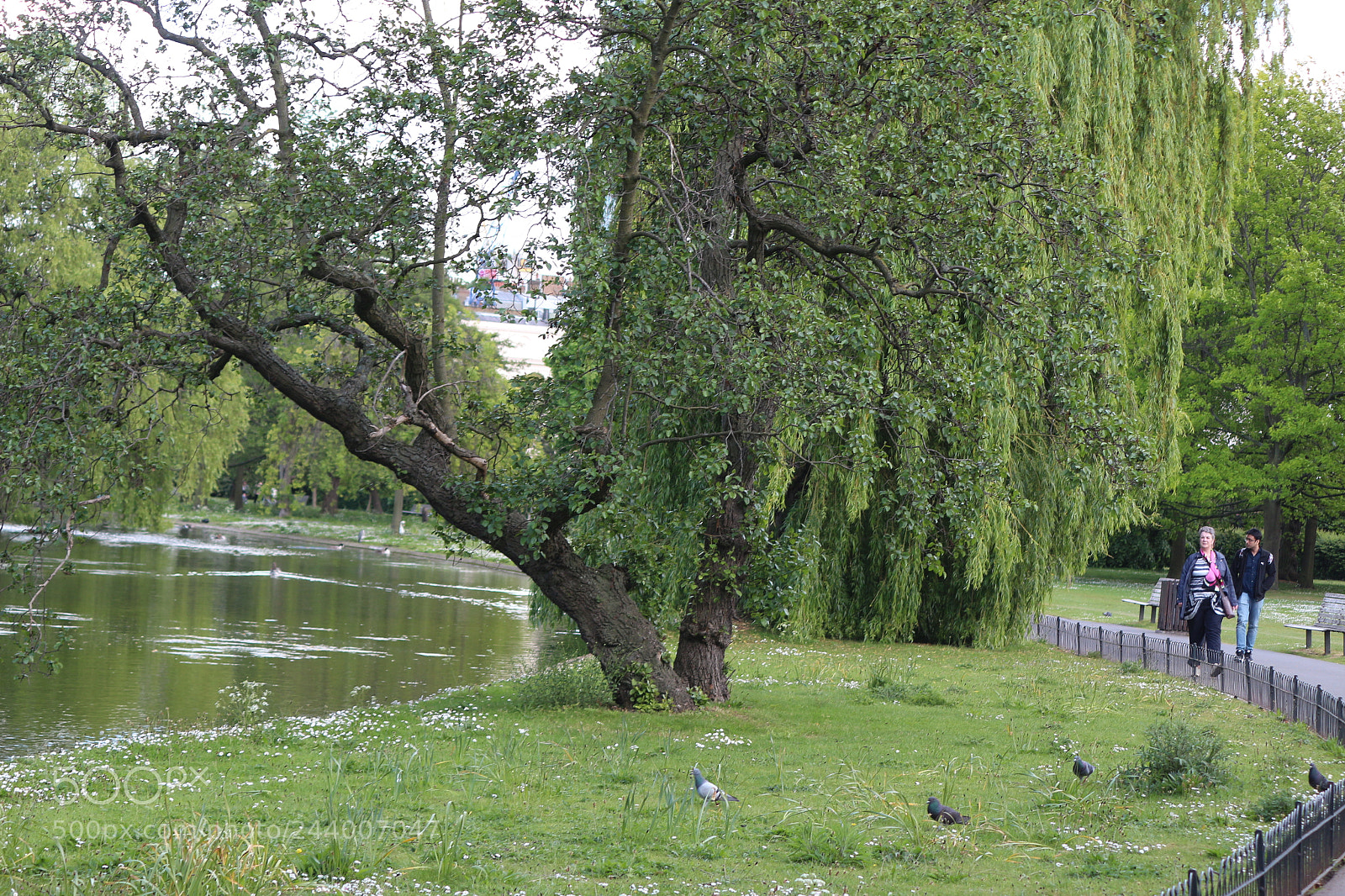 Canon EOS 650D (EOS Rebel T4i / EOS Kiss X6i) sample photo. Img photography
