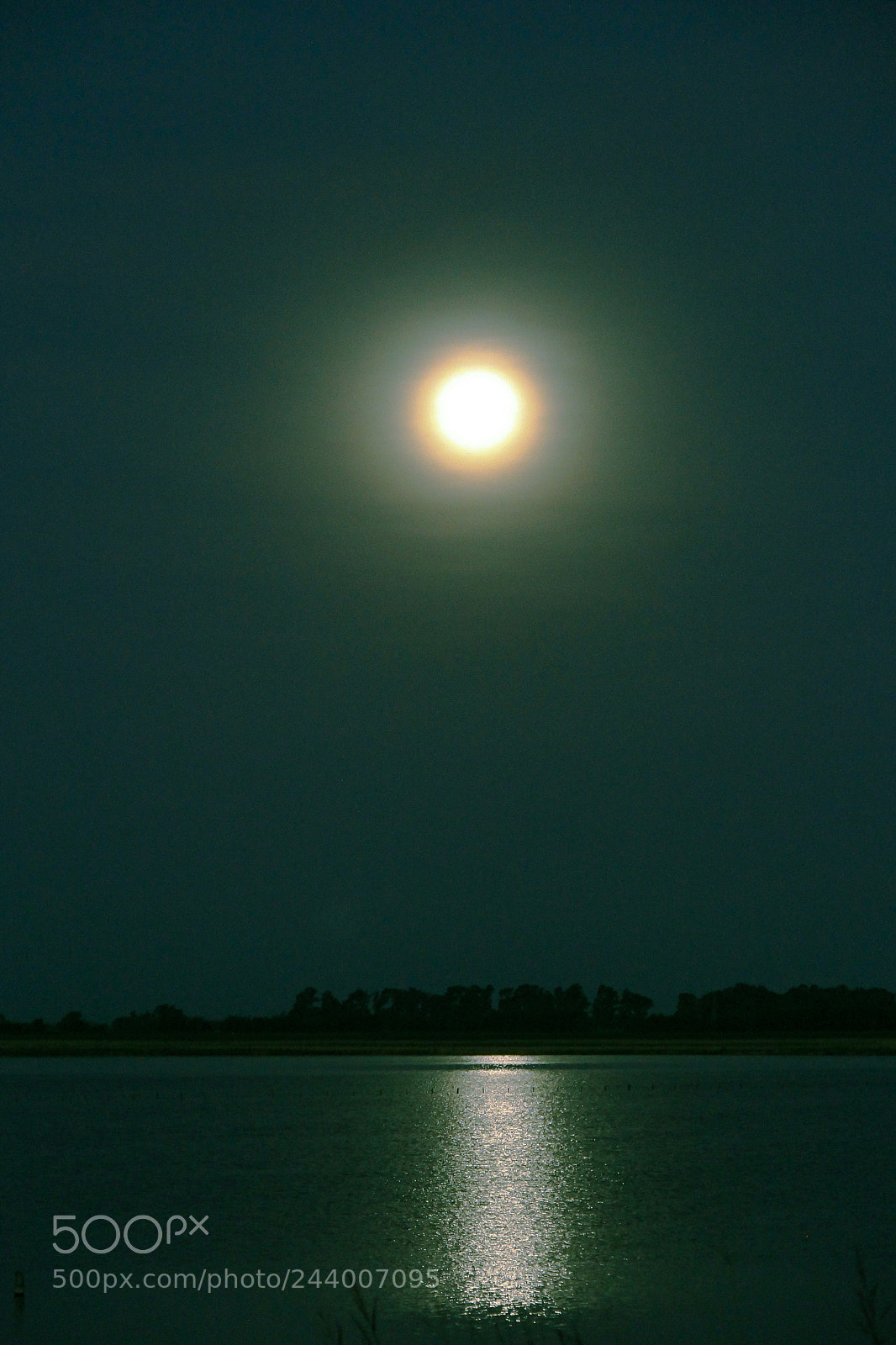 Canon EOS 60D sample photo. Blue moon photography