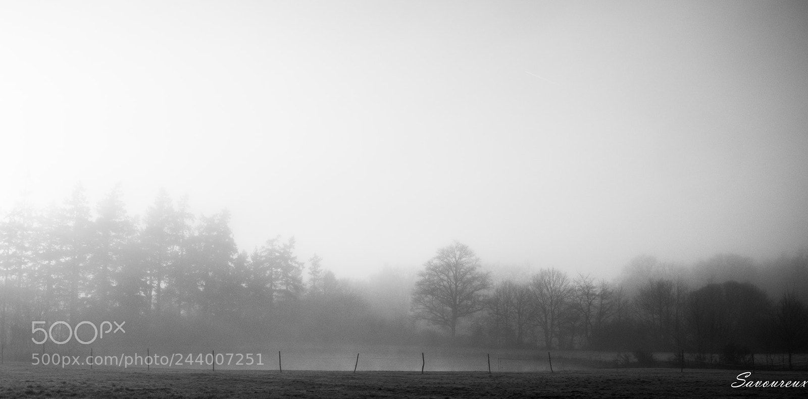 Nikon D5500 sample photo. Jour de brouillard photography