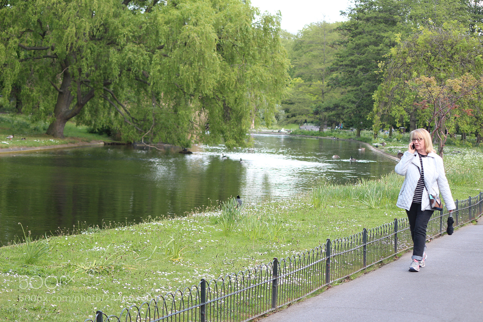 Canon EOS 650D (EOS Rebel T4i / EOS Kiss X6i) sample photo. Img photography