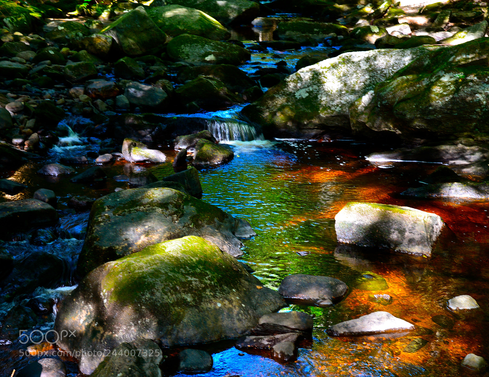 Nikon D600 sample photo. Forest grotto photography