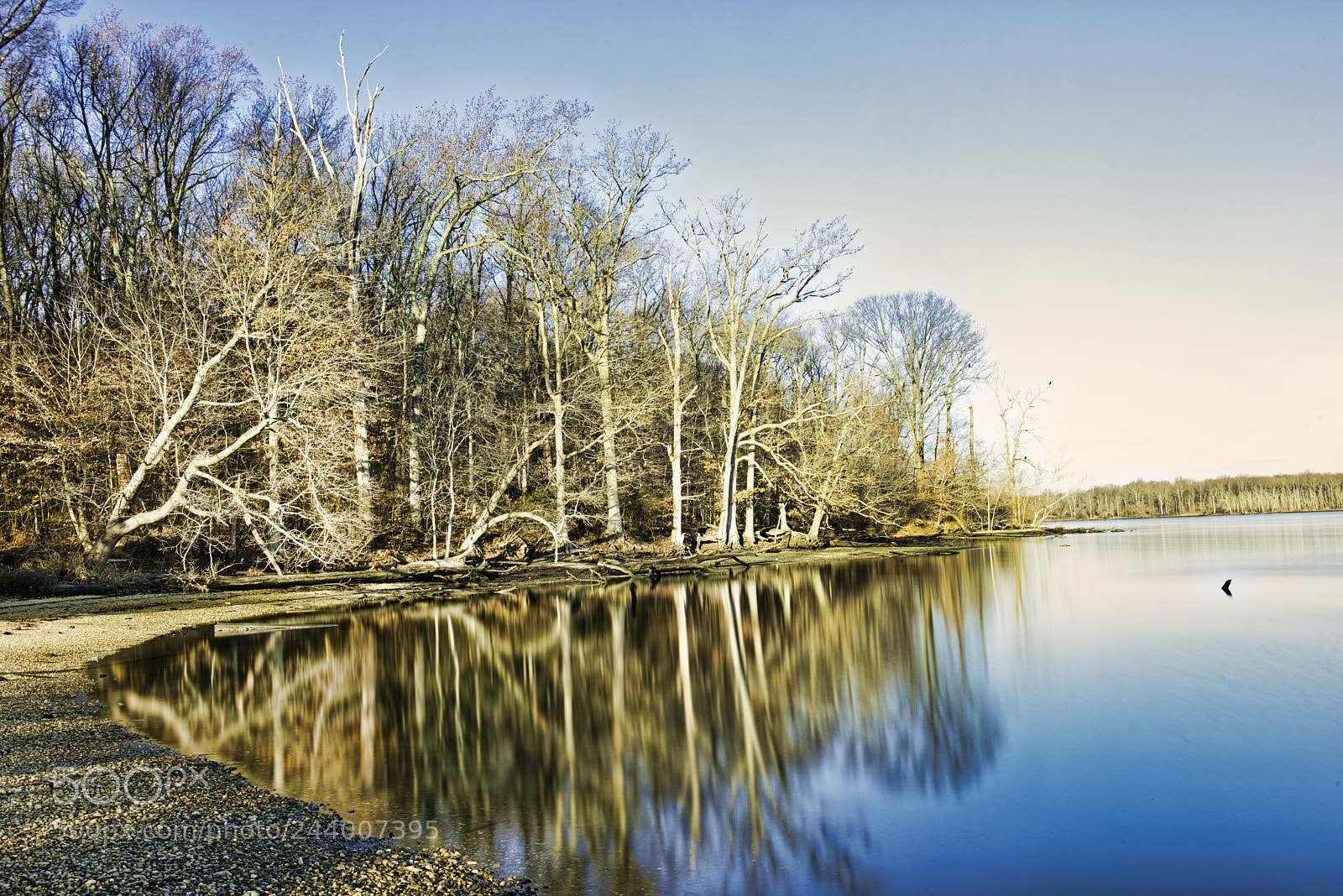 Nikon D800 sample photo. Still water photography