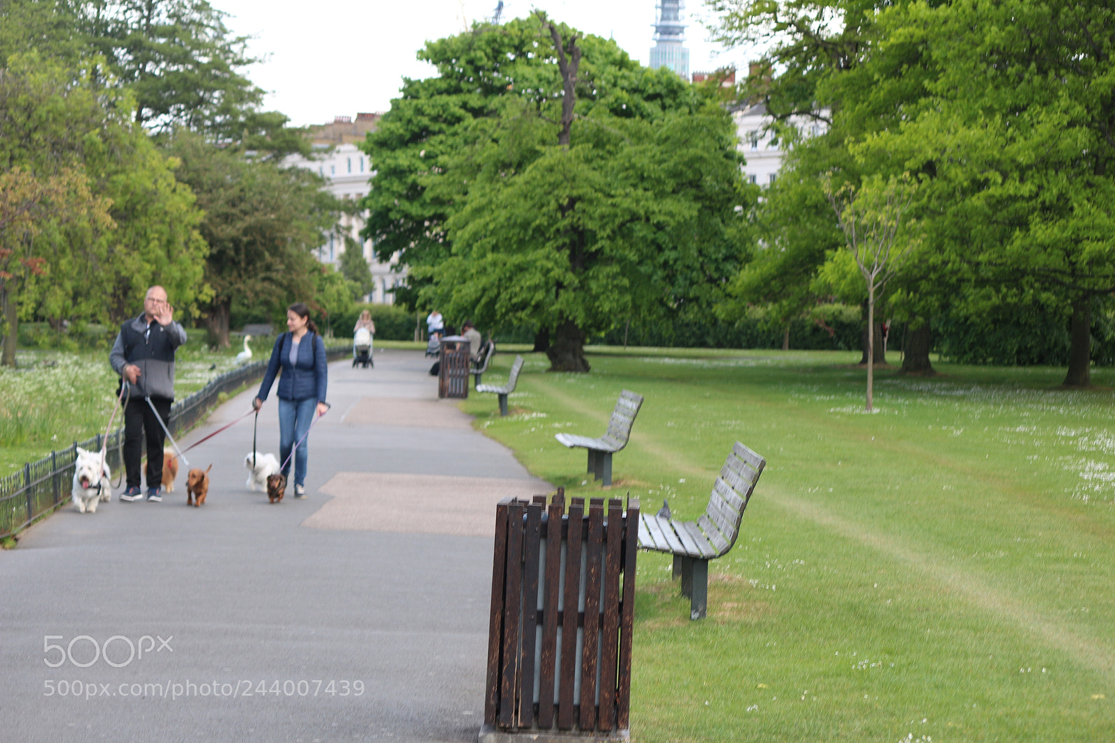 Canon EOS 650D (EOS Rebel T4i / EOS Kiss X6i) sample photo. Img photography