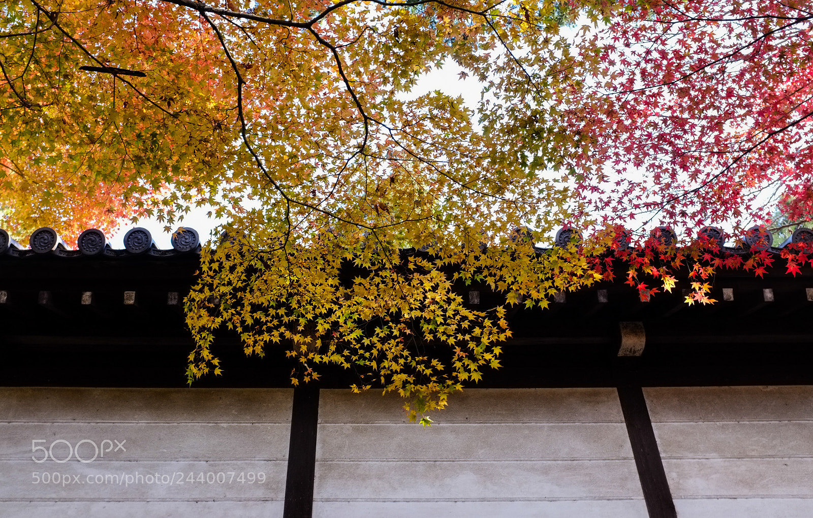 Fujifilm FinePix X100 sample photo. Among us photography