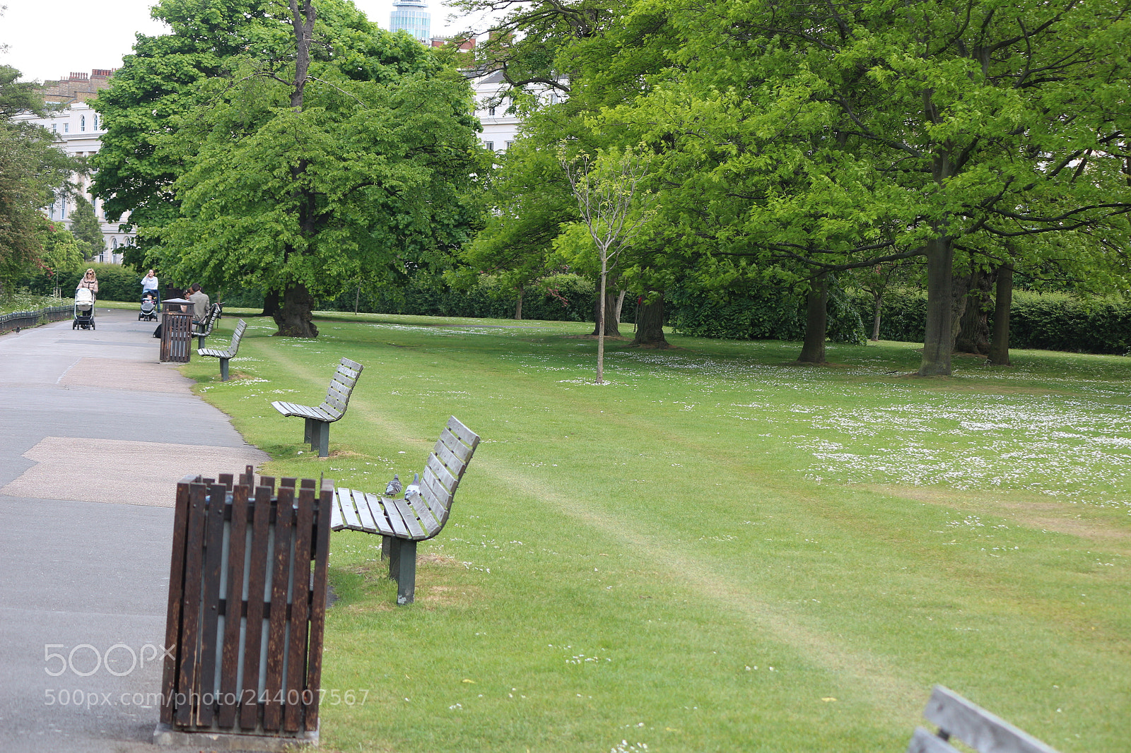 Canon EOS 650D (EOS Rebel T4i / EOS Kiss X6i) sample photo. Img photography