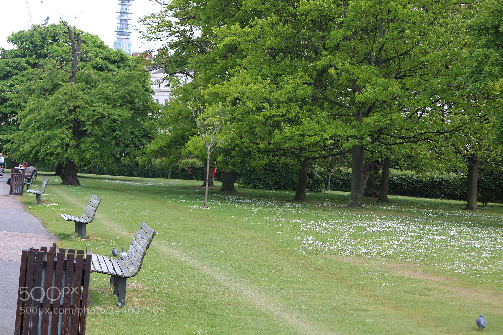 Canon EOS 650D (EOS Rebel T4i / EOS Kiss X6i) sample photo. Img photography