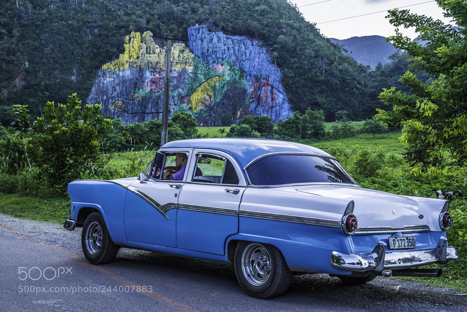 Nikon D800 sample photo. Murales cubano photography