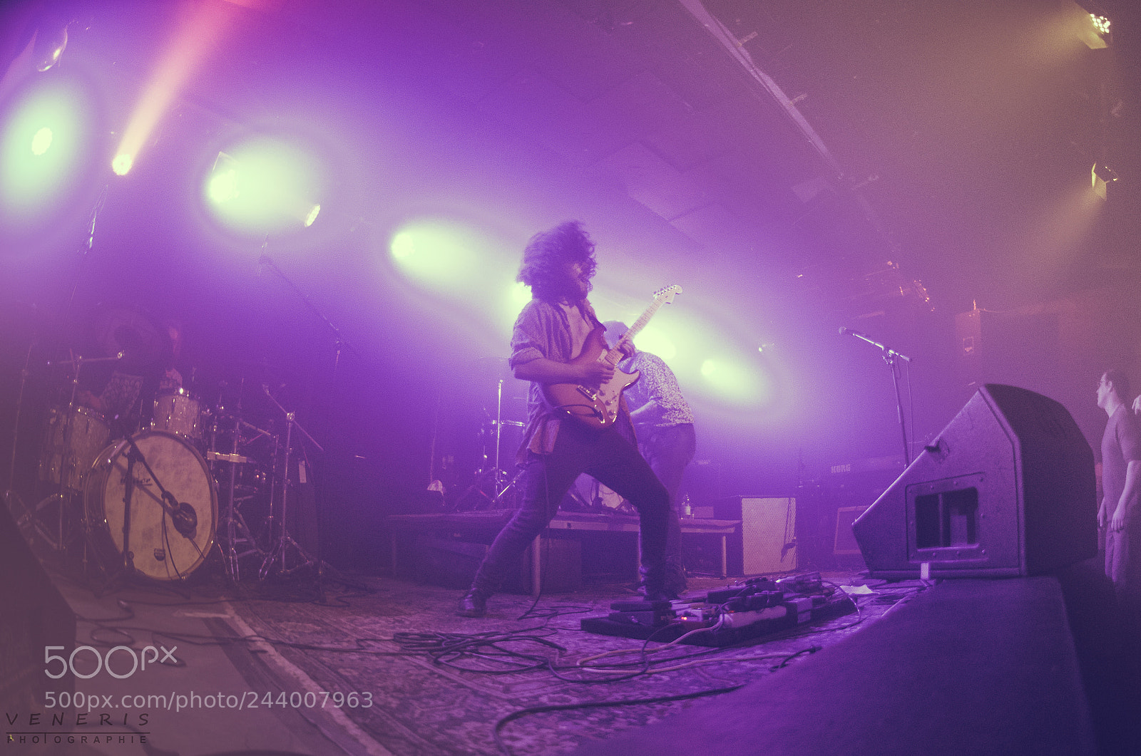 Nikon D500 sample photo. The howling muffs photography
