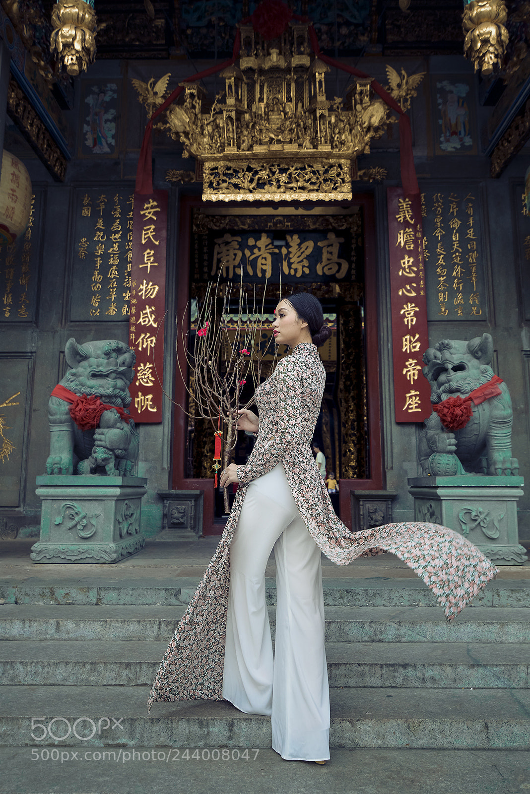 Nikon D800E sample photo. Hquynh#1 photography